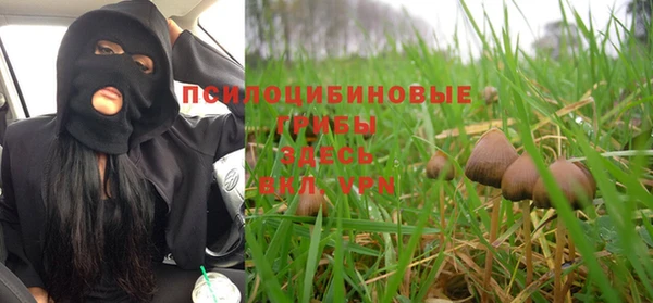 прущая мука Абдулино