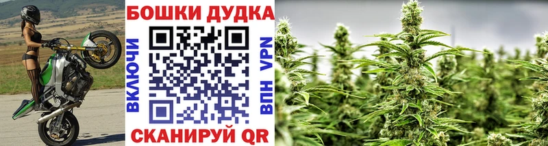 Конопля ГИДРОПОН Кинешма